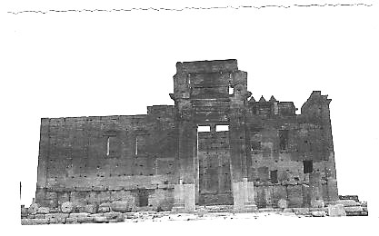 palmyra03